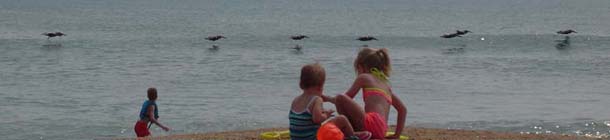 Future Flashpoint team members relaxing on the beach